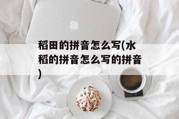 稻田的拼音怎么写(水稻的拼音怎么写的拼音)-第1张图片-