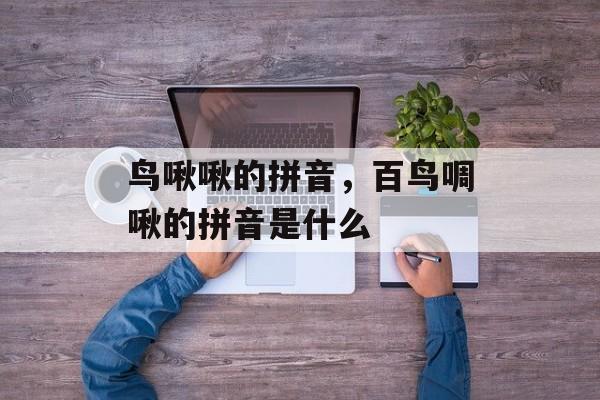 鸟啾啾的拼音，百鸟啁啾的拼音是什么-第1张图片-