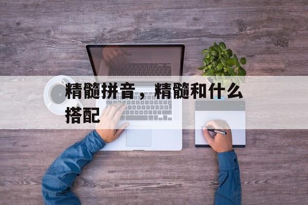 精髓拼音，精髓和什么搭配-第1张图片-