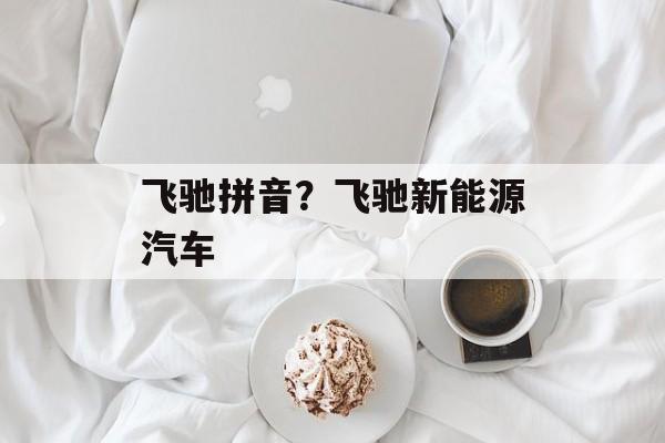 飞驰拼音？飞驰新能源汽车-第1张图片-