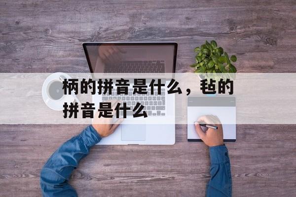 柄的拼音是什么，毡的拼音是什么-第1张图片-