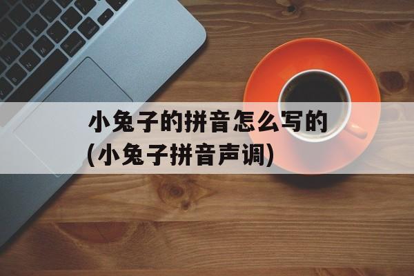 小兔子的拼音怎么写的(小兔子拼音声调)-第1张图片-