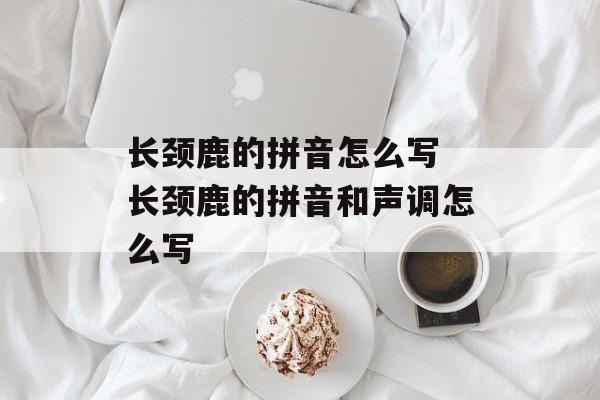长颈鹿的拼音怎么写 长颈鹿的拼音和声调怎么写-第1张图片-