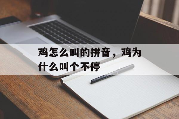 鸡怎么叫的拼音，鸡为什么叫个不停-第1张图片-