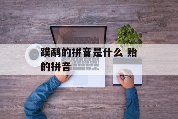 蹼鹬的拼音是什么 贻的拼音-第1张图片-