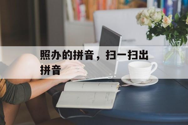 照办的拼音，扫一扫出拼音-第1张图片-