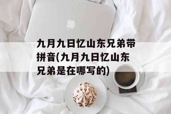 九月九日忆山东兄弟带拼音(九月九日忆山东兄弟是在哪写的)-第1张图片-
