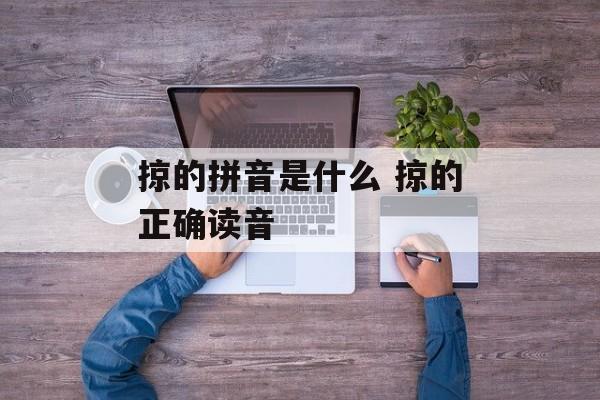 掠的拼音是什么 掠的正确读音-第1张图片-