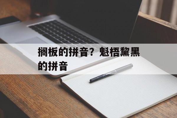 搁板的拼音？魁梧黧黑的拼音-第1张图片-