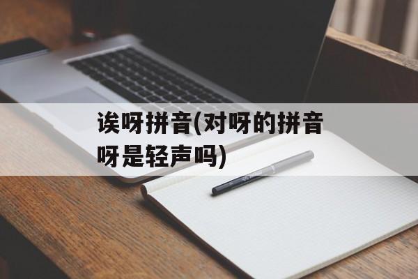 诶呀拼音(对呀的拼音呀是轻声吗)-第1张图片-