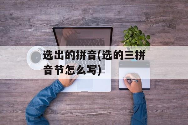 选出的拼音(选的三拼音节怎么写)-第1张图片-
