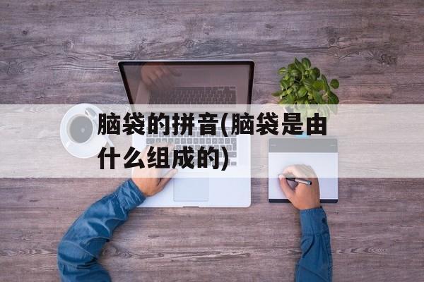 脑袋的拼音(脑袋是由什么组成的)-第1张图片-