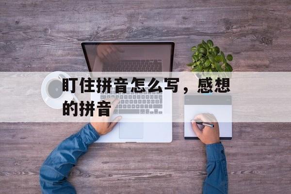 盯住拼音怎么写，感想的拼音-第1张图片-