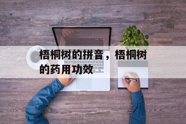 梧桐树的拼音，梧桐树的药用功效-第1张图片-