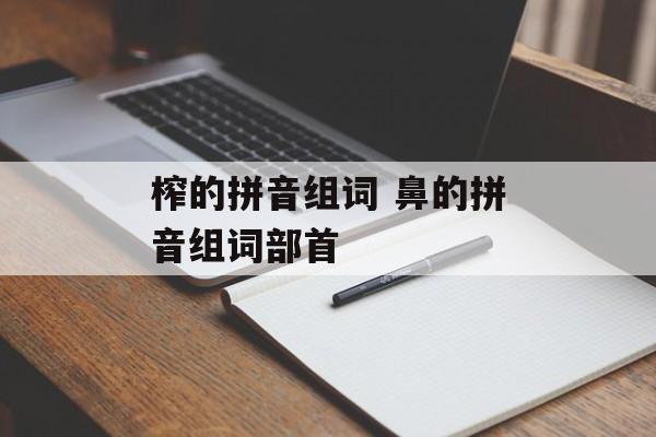 榨的拼音组词 鼻的拼音组词部首-第1张图片-
