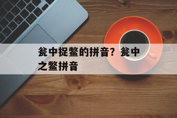 瓮中捉鳖的拼音？瓮中之鳖拼音-第1张图片-