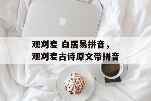 观刈麦 白居易拼音，观刈麦古诗原文带拼音-第1张图片-