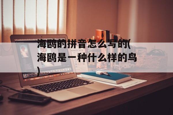 海鸥的拼音怎么写的(海鸥是一种什么样的鸟)-第1张图片-