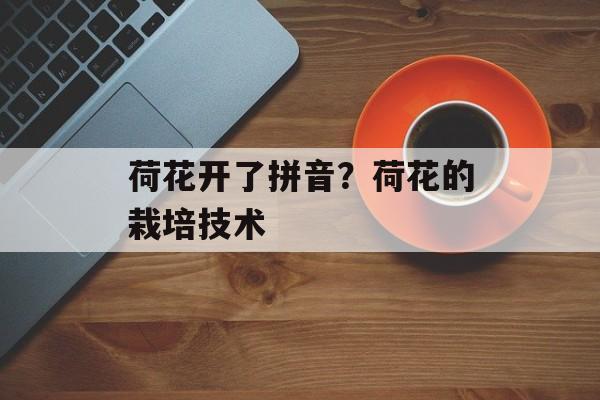 荷花开了拼音？荷花的栽培技术-第1张图片-
