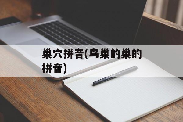 巢穴拼音(鸟巢的巢的拼音)-第1张图片-