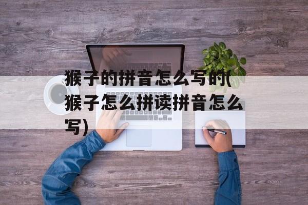 猴子的拼音怎么写的(猴子怎么拼读拼音怎么写)-第1张图片-