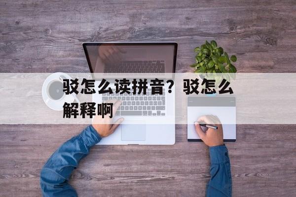 驳怎么读拼音？驳怎么解释啊-第1张图片-
