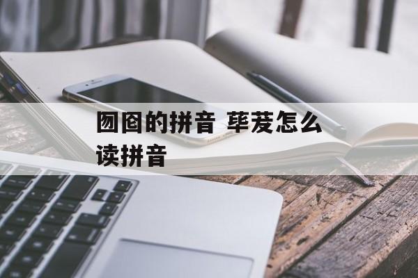 囫囵的拼音 荜茇怎么读拼音-第1张图片-