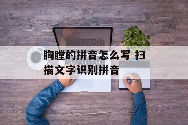 胸膛的拼音怎么写 扫描文字识别拼音-第1张图片-