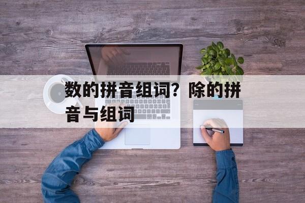 数的拼音组词？除的拼音与组词-第1张图片-