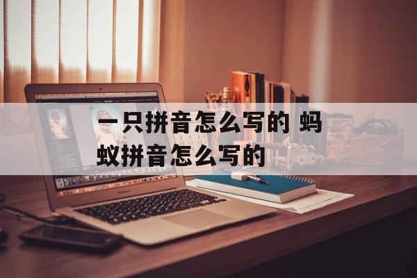 一只拼音怎么写的 蚂蚁拼音怎么写的-第1张图片-