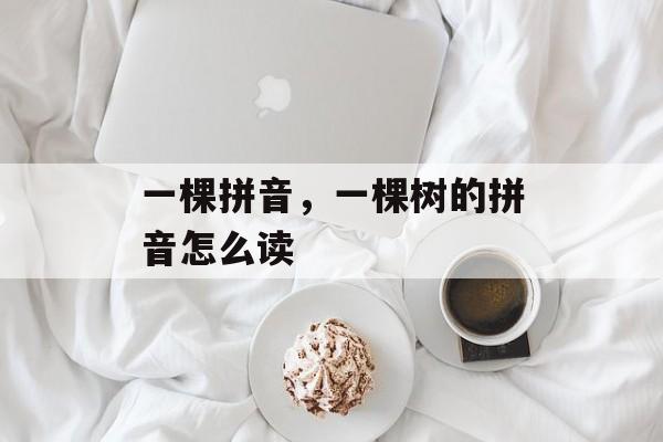 一棵拼音，一棵树的拼音怎么读-第1张图片-