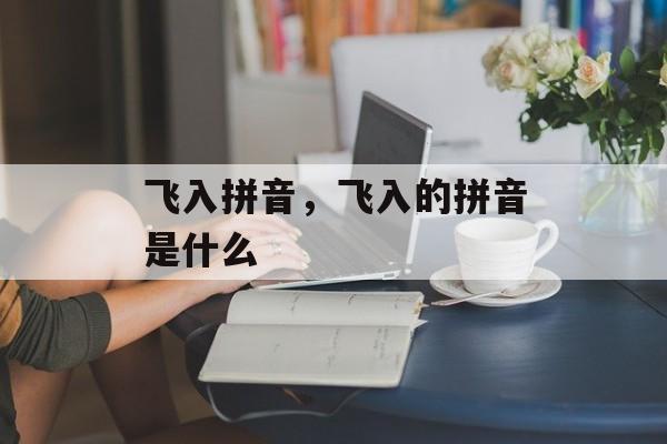 飞入拼音，飞入的拼音是什么-第1张图片-