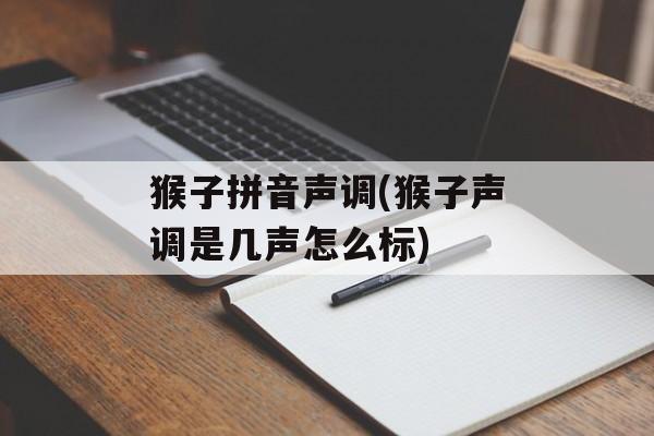 猴子拼音声调(猴子声调是几声怎么标)-第1张图片-