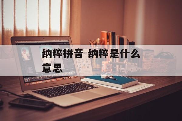 纳粹拼音 纳粹是什么意思-第1张图片-