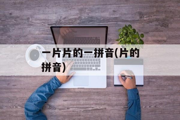 一片片的一拼音(片的拼音)-第1张图片-