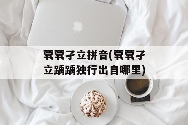 茕茕孑立拼音(茕茕孑立踽踽独行出自哪里)-第1张图片-