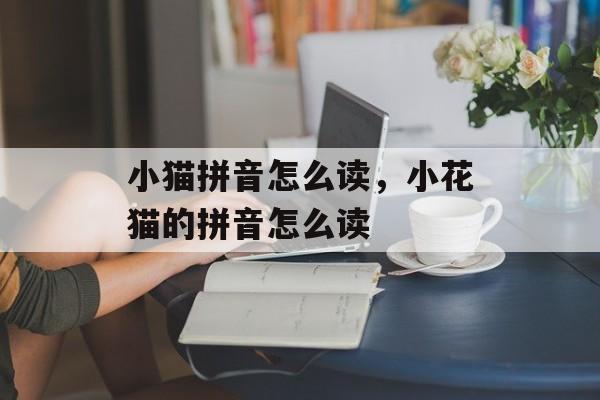 小猫拼音怎么读，小花猫的拼音怎么读-第1张图片-
