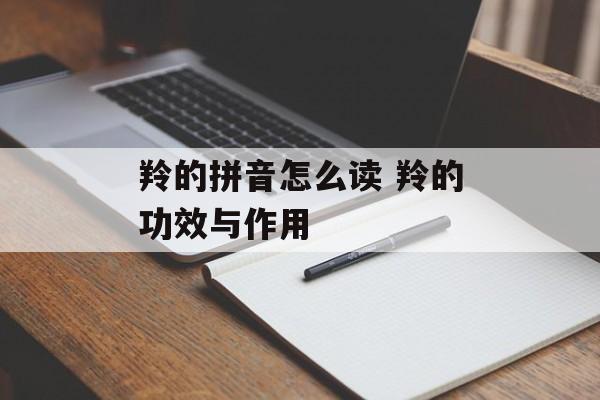 羚的拼音怎么读 羚的功效与作用-第1张图片-