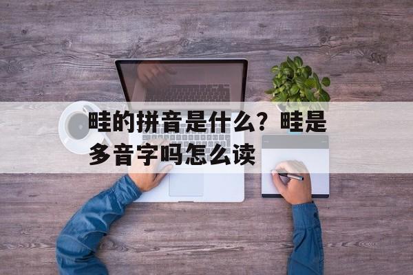 畦的拼音是什么？畦是多音字吗怎么读-第1张图片-