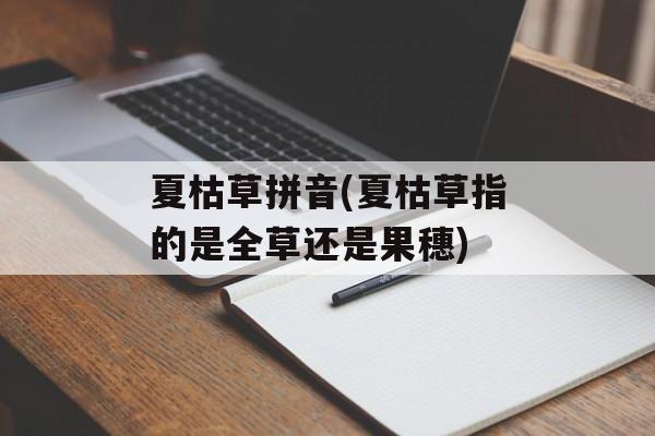 夏枯草拼音(夏枯草指的是全草还是果穗)-第1张图片-