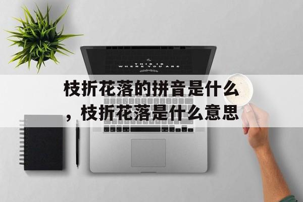 枝折花落的拼音是什么，枝折花落是什么意思-第1张图片-