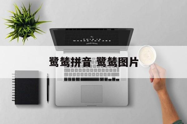 鹭鸶拼音 鹭鸶图片-第1张图片-