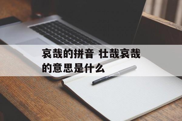 哀哉的拼音 壮哉哀哉的意思是什么-第1张图片-