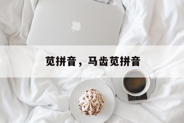 苋拼音，马齿苋拼音-第1张图片-
