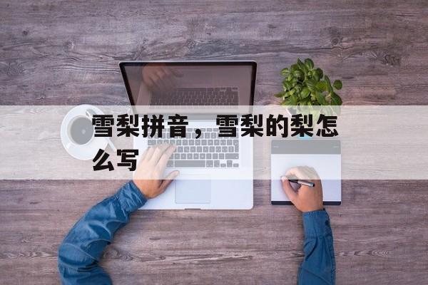 雪梨拼音，雪梨的梨怎么写-第1张图片-
