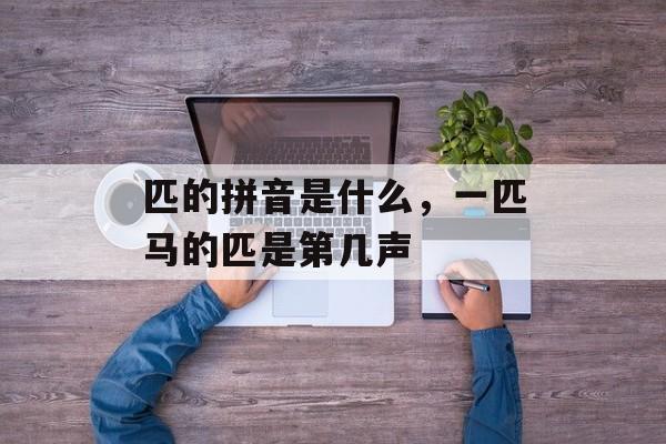 匹的拼音是什么，一匹马的匹是第几声-第1张图片-