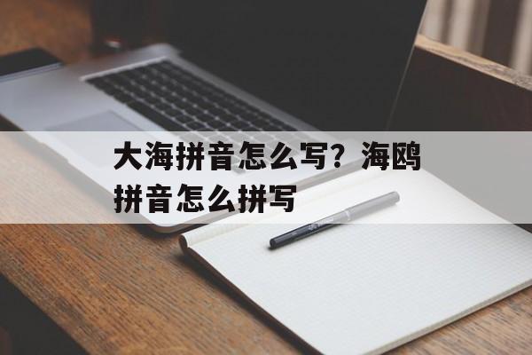 大海拼音怎么写？海鸥拼音怎么拼写-第1张图片-