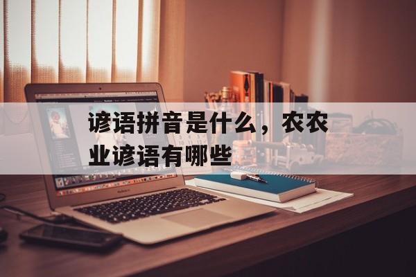 谚语拼音是什么，农农业谚语有哪些-第1张图片-