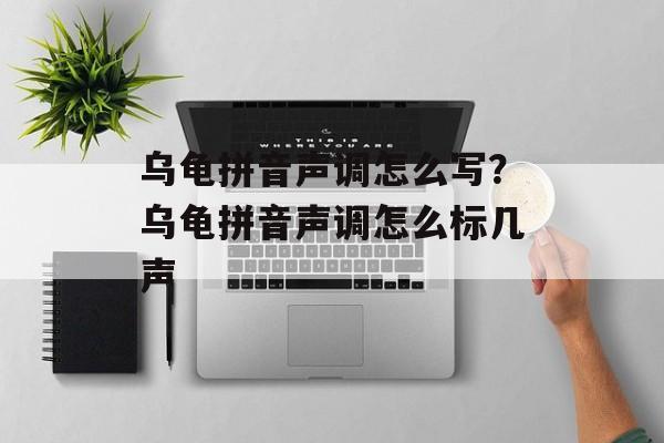 乌龟拼音声调怎么写？乌龟拼音声调怎么标几声-第1张图片-