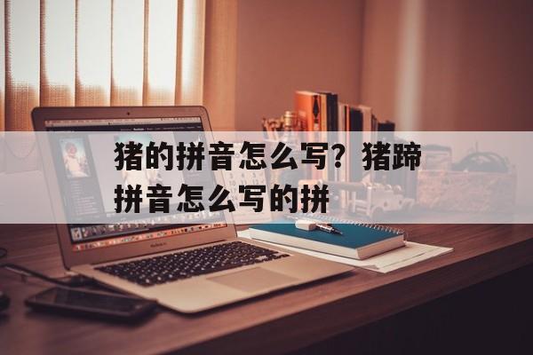 猪的拼音怎么写？猪蹄拼音怎么写的拼-第1张图片-